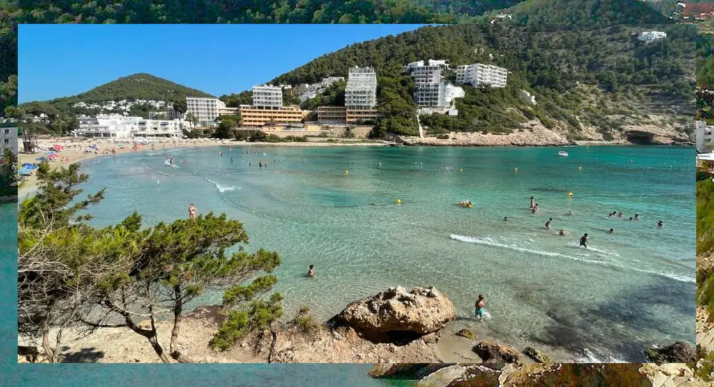 A Dead Body was found in the waters of Cala Llonga, in Ibiza