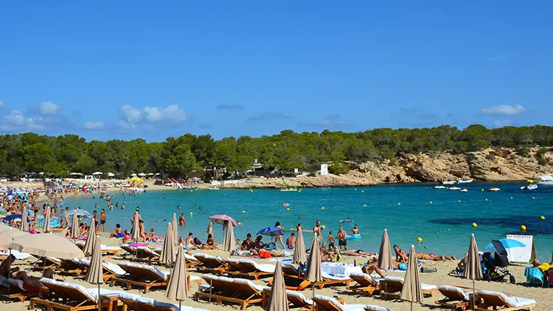 Cala Bassa, Ibiza: A Gem of the White Isle