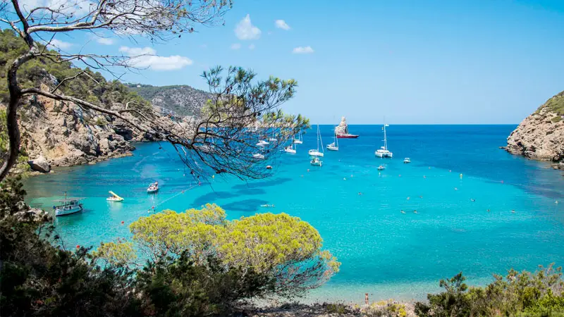Best Beaches in Ibiza - Benirras
