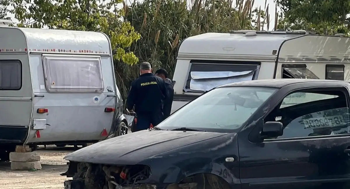 Fine For Leaving Dogs In Car: Ibiza Owner Faces €2,400 Penalty